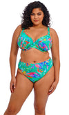 Toyama Tides Jade Mid Rise Bikini Brief, Special Order M - 6XL