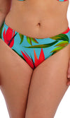 Pichola Aqua Mid Rise Bikini Brief, Special Order XS - 2XL