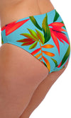 Pichola Aqua Mid Rise Bikini Brief, Special Order XS - 2XL