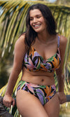 Mykonos Cove Black Mid Rise Bikini Brief, Special Order XS - 2XL