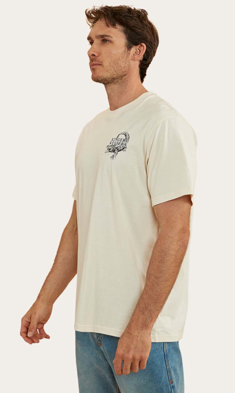 Salty Mens Loose Fit T-Shirt, More Colours